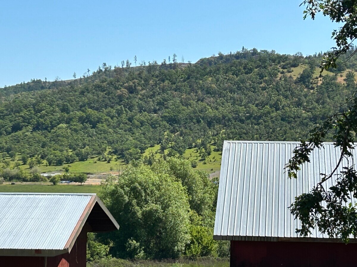 View Photo