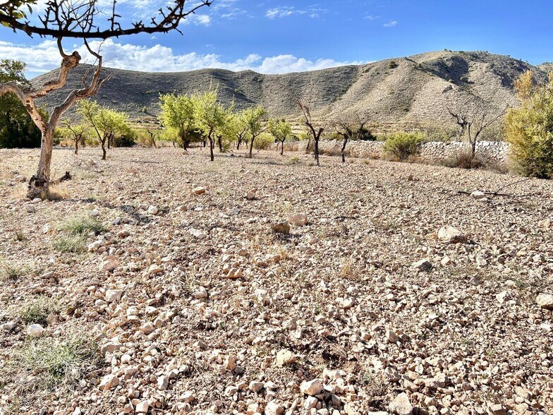 Terrain dans Orihuela, Alicante à vendre - Aérien – Image 2 sur 4