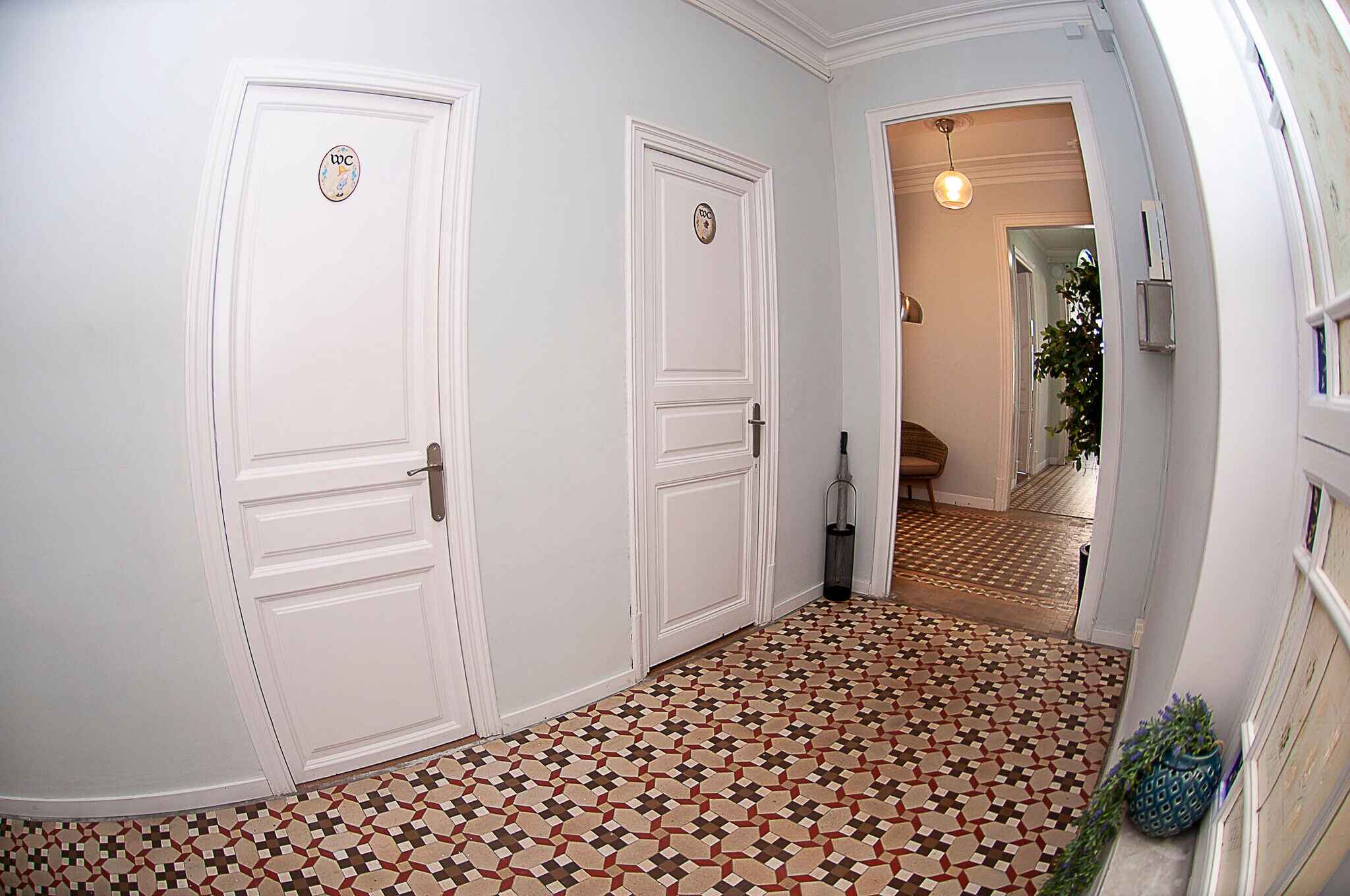 Rambla de Catalunya, 73, Barcelone, Barcelona à louer Photo intérieure– Image 1 sur 23