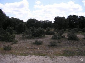 Terrain dans Maello, Ávila à vendre - Photo principale – Image 1 sur 3