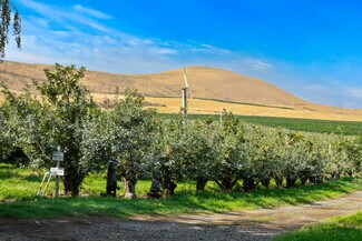 Plus de détails pour NKA Desmarais rd, Moxee, WA - Terrain à vendre