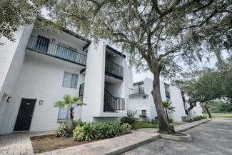 Plus de détails pour 13009 Kain Palms Ct, Tampa, FL - Logement à vendre