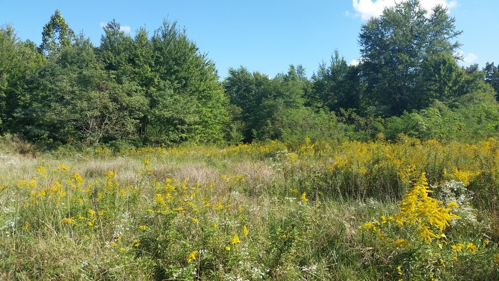 None State Route 132(adjacent to 3354 132) Rd, Amelia, OH à vendre - Autre – Image 1 sur 4