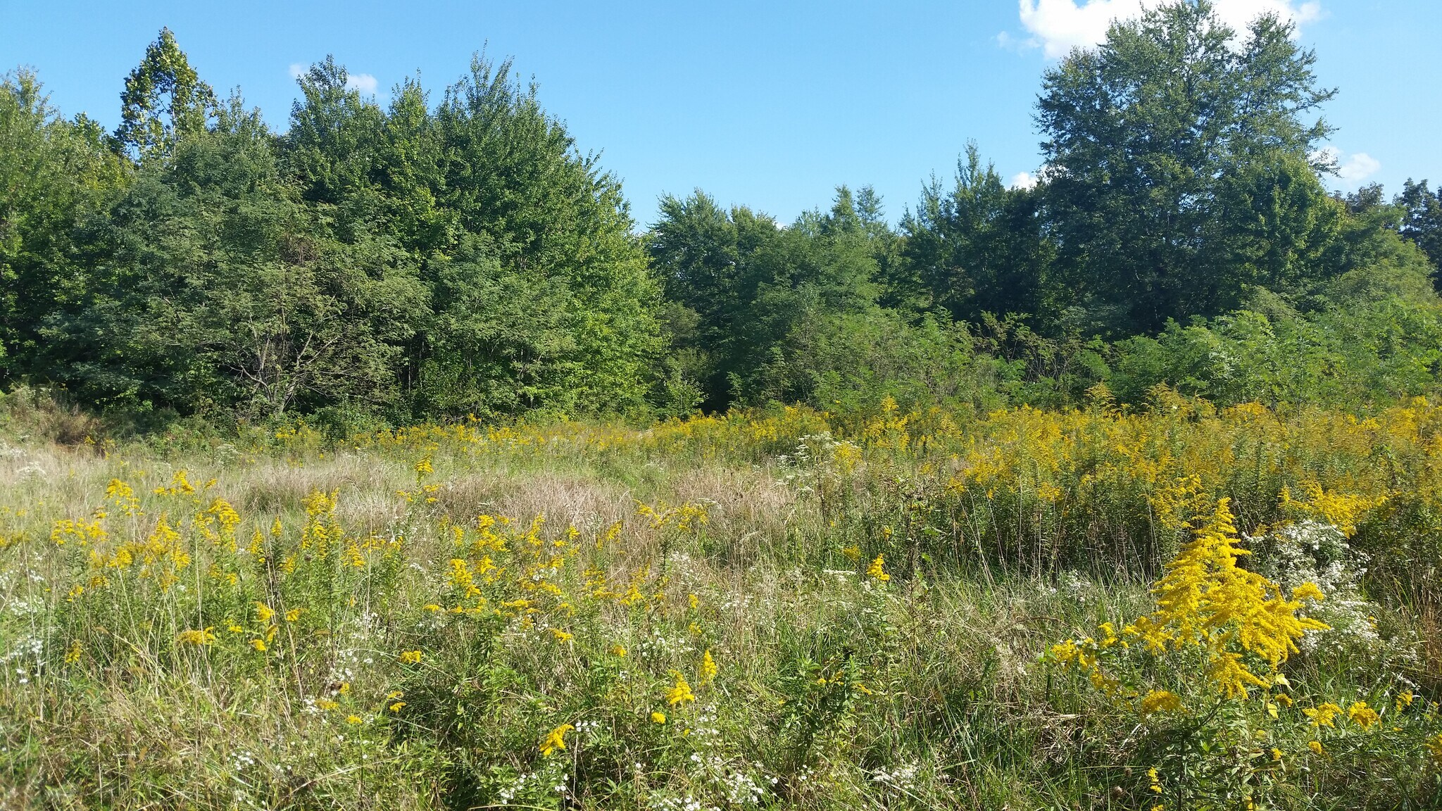 None State Route 132(adjacent to 3354 132) Rd, Amelia, OH à vendre Autre– Image 1 sur 5