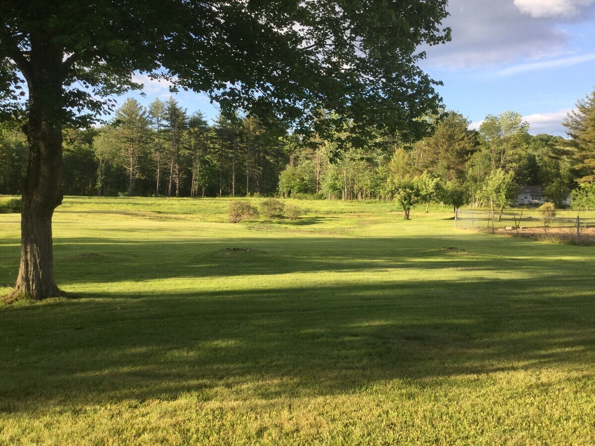 View Photo