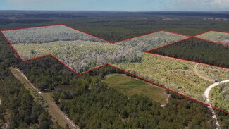 Plus de détails pour TBD NE 36th Drive Dr, Jasper, FL - Terrain à vendre