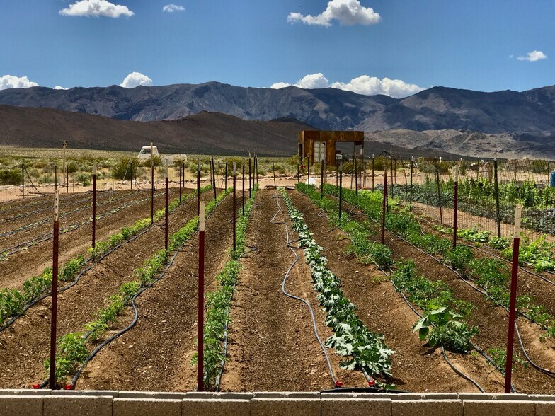 691 Desert Trail way, Tecopa, CA à vendre - Photo de l’immeuble – Image 3 sur 76