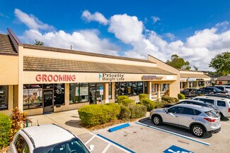 Plus de détails pour 31800-31988 US Highway 19 N, Palm Harbor, FL - Local commercial à louer