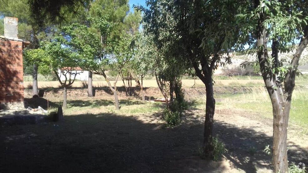 Terrain dans Zarza de Tajo, Cuenca à vendre - Photo de l’immeuble – Image 2 sur 7