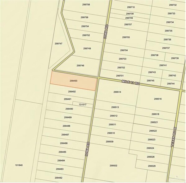 0 Iowa Rd, Mission, TX à vendre - Photo de l’immeuble – Image 1 sur 1