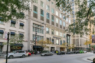 Plus de détails pour 113 E Chicago Ave, Chicago, IL - Local commercial à louer