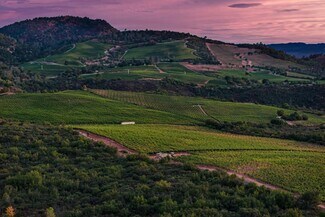 Plus de détails pour 3585 Soda Canyon Rd, Napa, CA - Terrain à vendre
