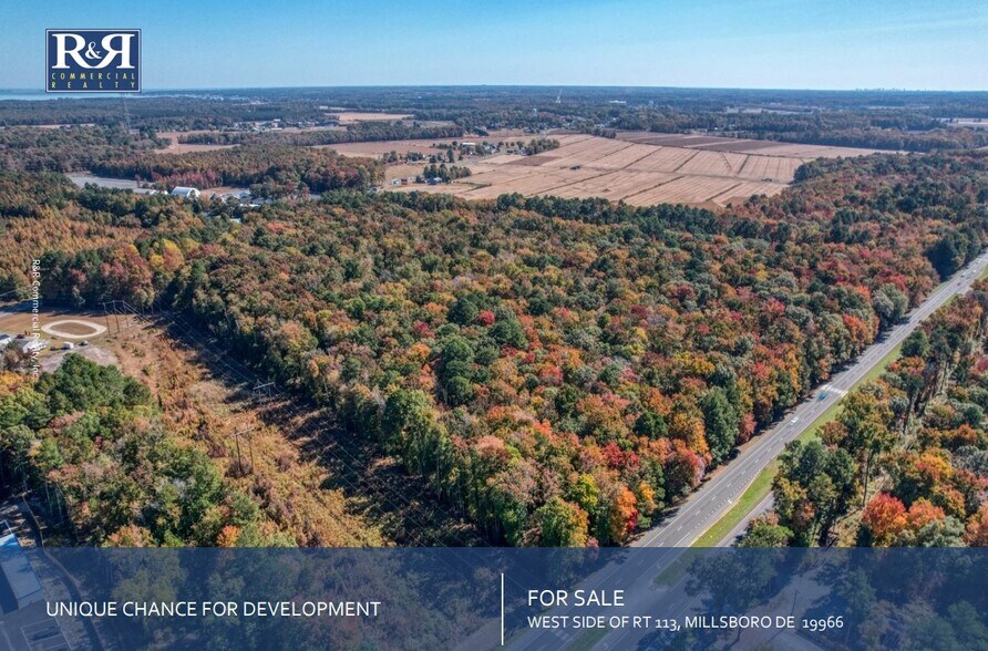30836 Dupont Hwy, Dagsboro, DE à vendre - Photo principale – Image 1 sur 1