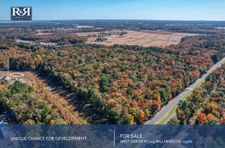 Plus de détails pour 30836 Dupont Hwy, Dagsboro, DE - Terrain à vendre