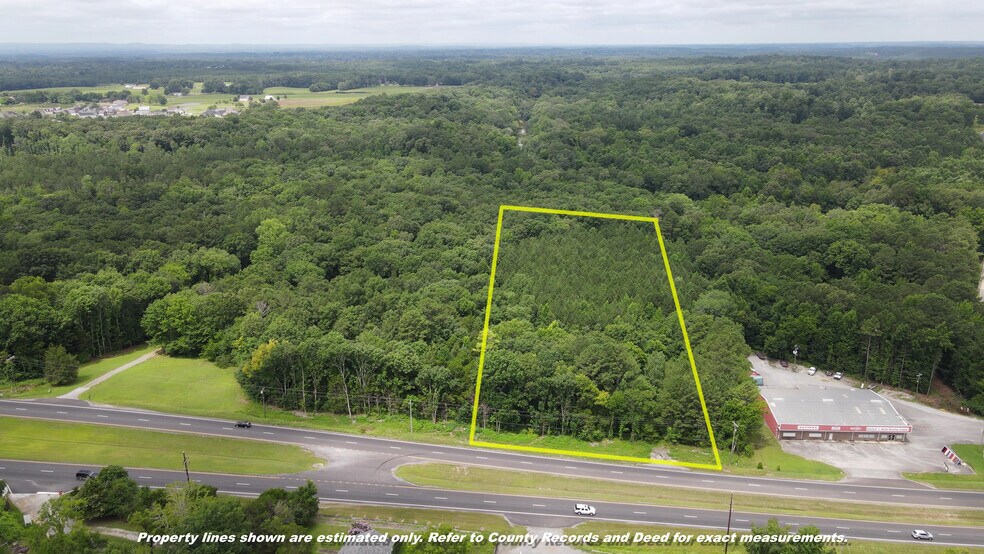 2915 Highway 31 SW, Hartselle, AL à vendre - Photo principale – Image 1 sur 10