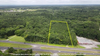 Plus de détails pour 2915 Highway 31 SW, Hartselle, AL - Terrain à vendre