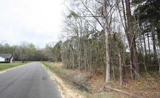 Plus de détails pour 00 Columbia Hwy, Estill, SC - Terrain à vendre