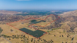 Plus de détails pour 19400 Avenue 398, Woodlake, CA - Terrain à vendre