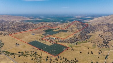 19400 Avenue 398, Woodlake, CA - VUE AÉRIENNE vue de carte - Image1