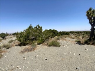 Plus de détails pour 2975 Yucca Terrace Dr, Pinon Hills, CA - Terrain à vendre