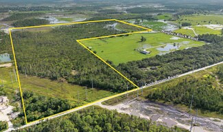 Plus de détails pour 37660 Cook Brown Rd, Punta Gorda, FL - Terrain à vendre
