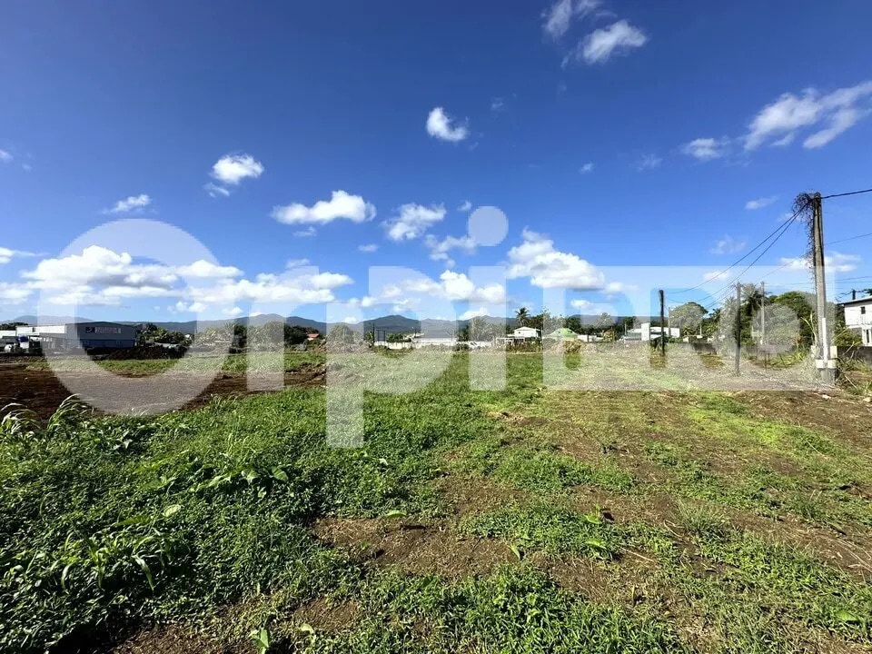 Terrain dans SAINTE-ROSE à vendre Plan de site– Image 1 sur 4