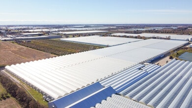 1506, 1508 1526 County Rd, Kingsville, ON - VUE AÉRIENNE vue de carte - Image1