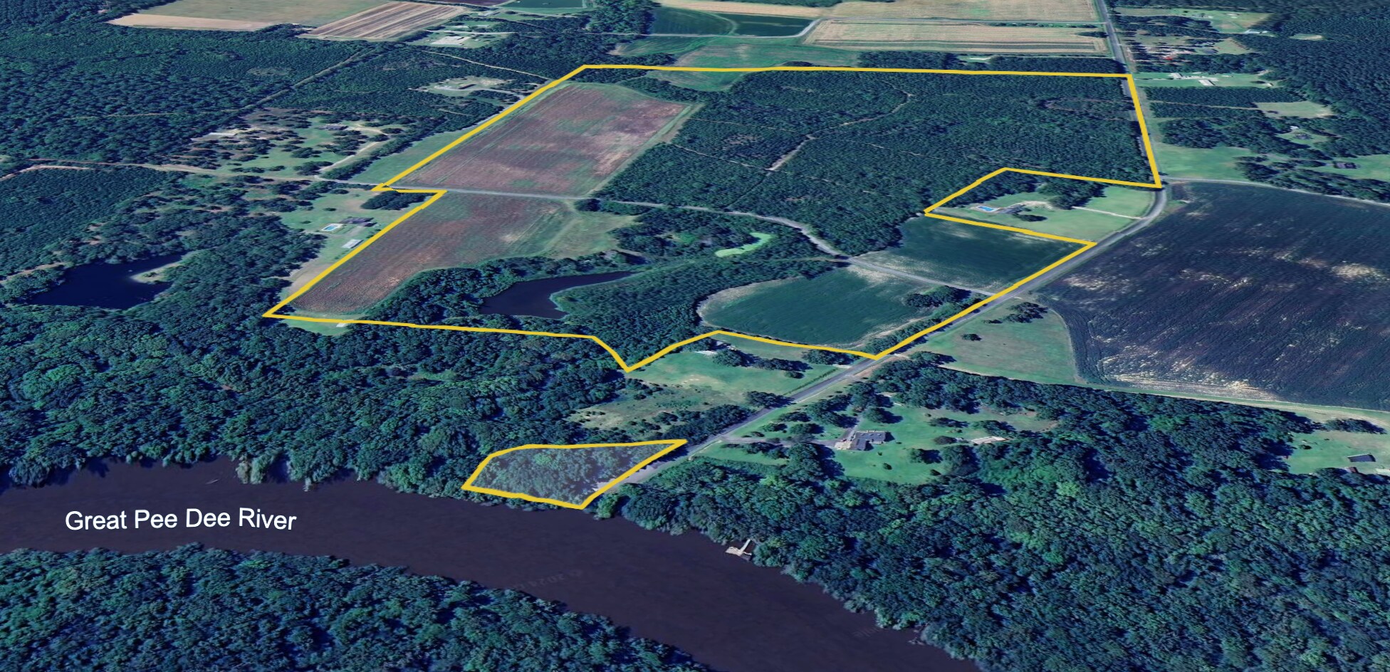1298 Ports Hill Dr, Hemingway, SC à vendre Aérien– Image 1 sur 4