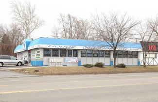 Plus de détails pour 25551 Van Born Rd, Taylor, MI - Local commercial à vendre
