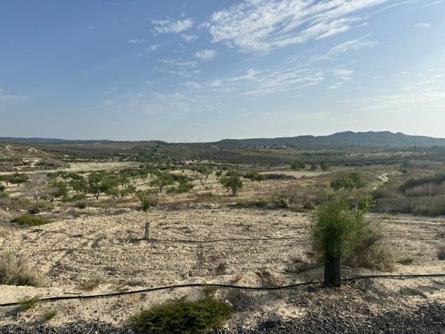 Terrain dans Murcia, Murcia à vendre - Photo principale – Image 2 sur 3