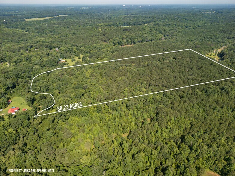 905 Natures Trl, Forsyth, GA à vendre - Photo de l’immeuble – Image 3 sur 3
