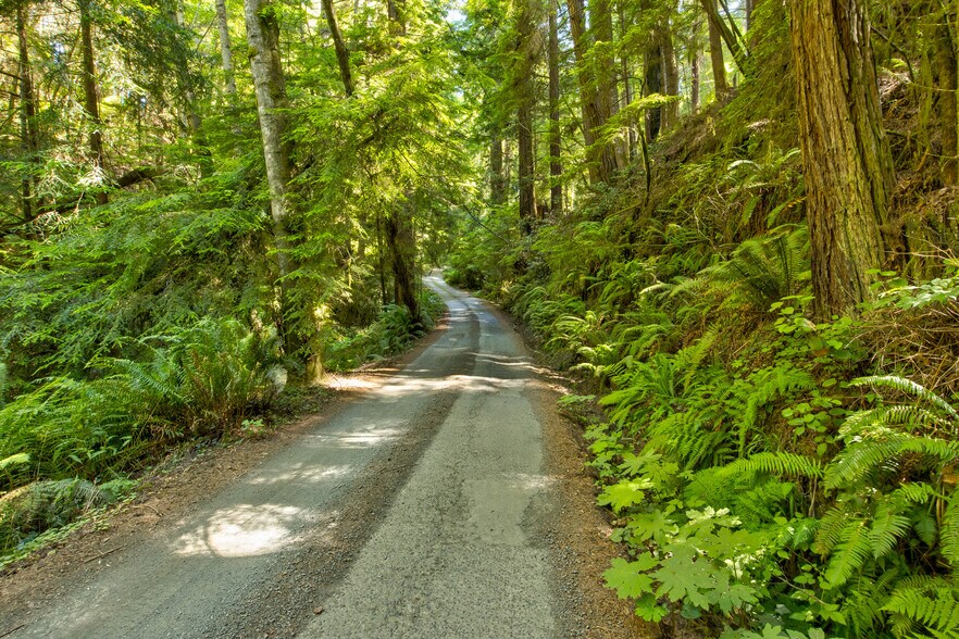 33170 Frog Pond rd, Little River, CA à vendre - Photo de l’immeuble – Image 2 sur 28