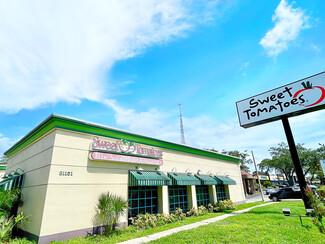 Plus de détails pour 31151 Us Highway 19 N, Palm Harbor, FL - Local commercial à vendre