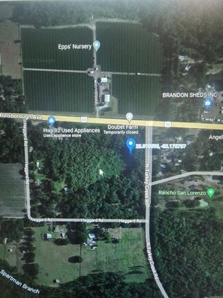 Plus de détails pour Turkey Creek Rd, Plant City, FL - Terrain à vendre