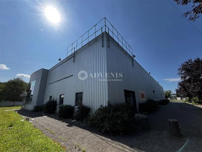 Local d'activités dans Eckbolsheim à vendre Photo de l’immeuble– Image 1 sur 8