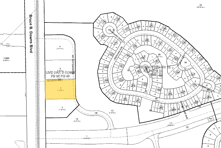 20301-20309 Bruce B. Downs Blvd, Tampa, FL à louer - Plan cadastral – Image 2 sur 11