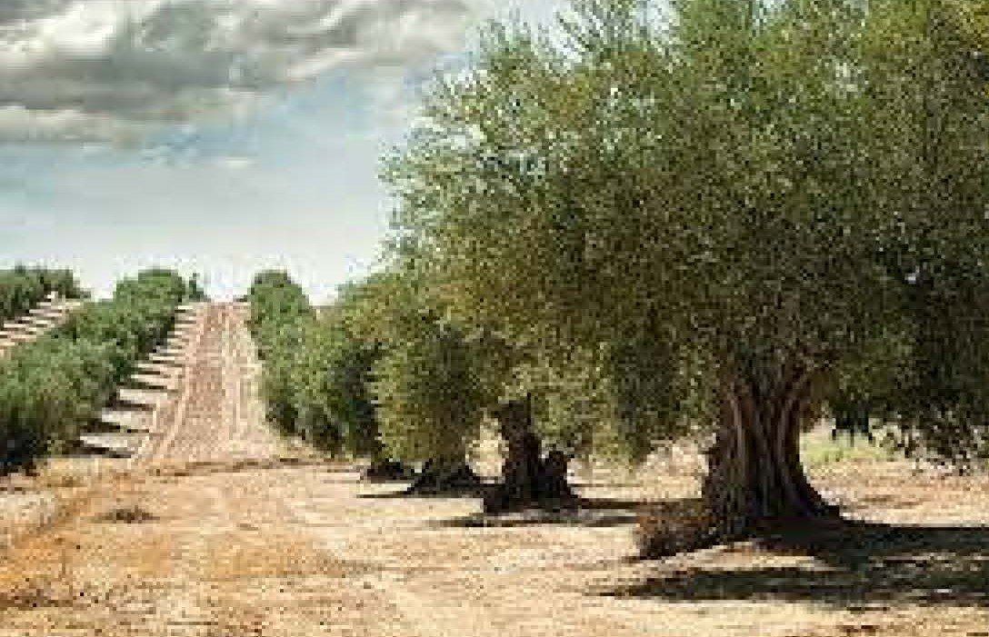 Carrer del Mar, Rossell, Castellón à vendre Photo de l’immeuble– Image 1 sur 2