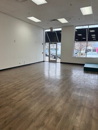 Plus de détails pour 121-131 Collins St, Joliet, IL - Local commercial à louer
