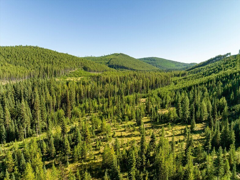 Nhn Logan Creek Road, Kila, MT à vendre - Photo de l’immeuble – Image 2 sur 97