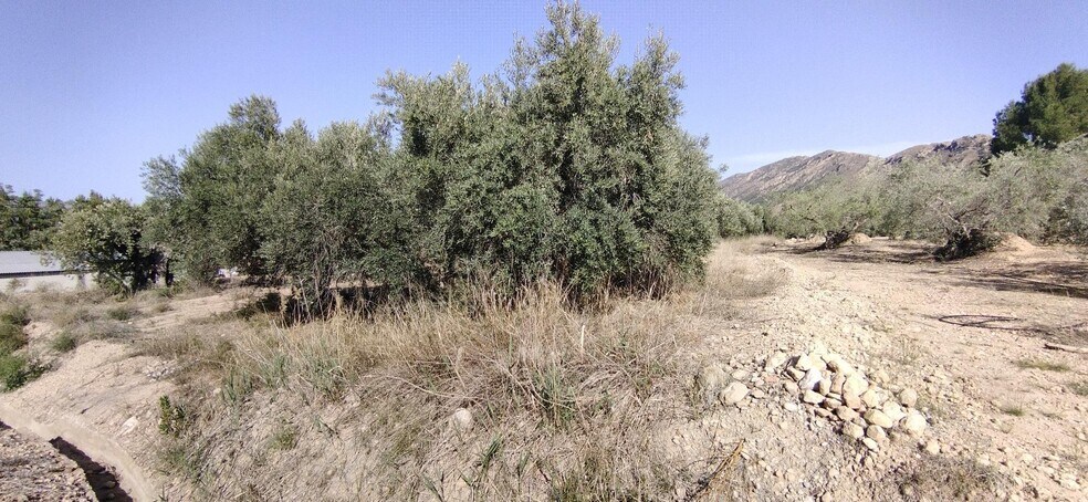 Terrain dans Calasparra, Murcia à vendre - Plan de site – Image 1 sur 4