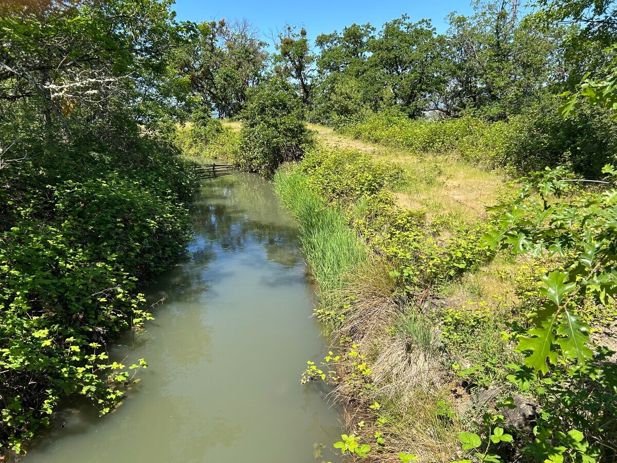 View Photo