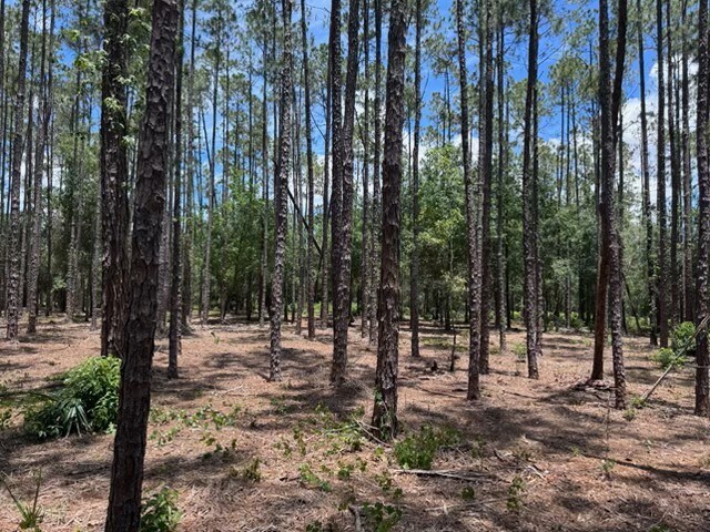 18517 Livingston Ave, Lutz, FL à vendre Photo de l’immeuble– Image 1 sur 5