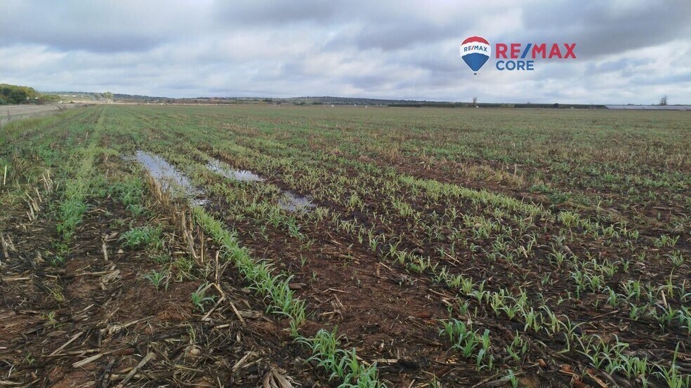 Terrain dans Mérida, Badajoz à vendre - Photo de l’immeuble – Image 1 sur 5