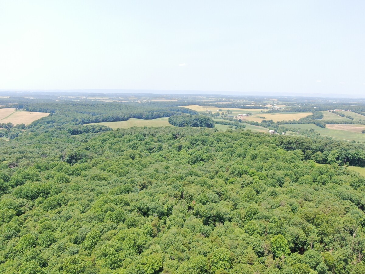 Photo de l’immeuble