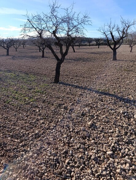 Terrain dans Bullas, Murcia à vendre - Photo de l’immeuble – Image 1 sur 10