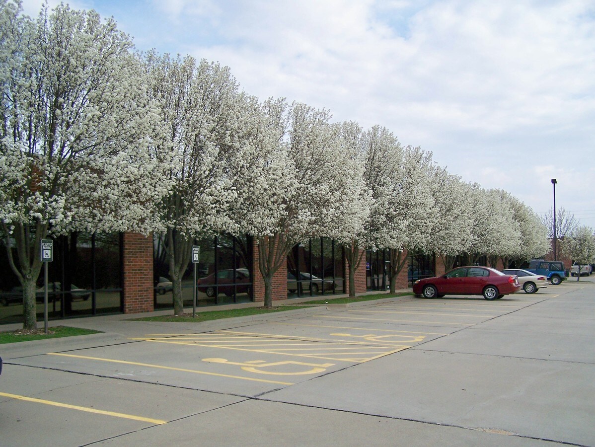 View Photo