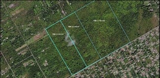 Plus de détails pour 0 Ainaloa Blvd, Kurtistown, HI - Terrain à vendre
