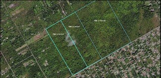 Plus de détails pour 0 Ainaloa Blvd, Kurtistown, HI - Terrain à vendre