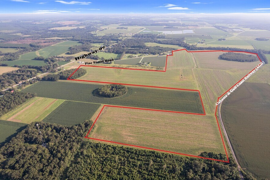 5700 Pine Forest Rd, Walnut Hill, FL à vendre - Photo principale – Image 1 sur 47