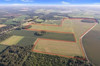 Plus de détails pour 5700 Pine Forest Rd, Walnut Hill, FL - Terrain à vendre